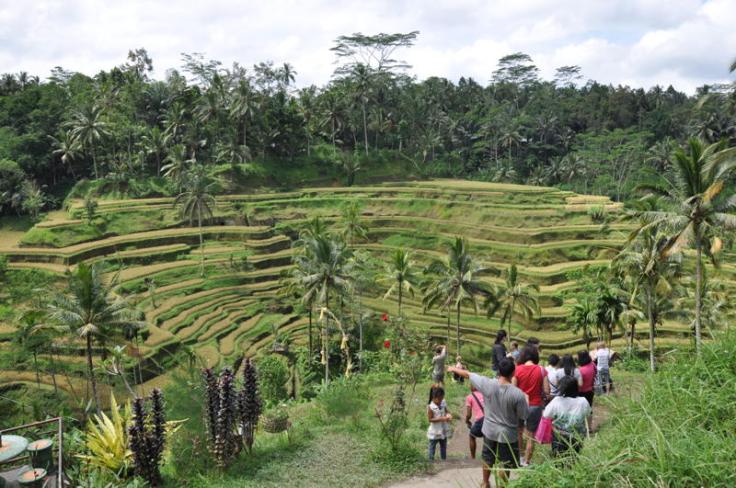tegalalang-rice-terraces-ubud-bali